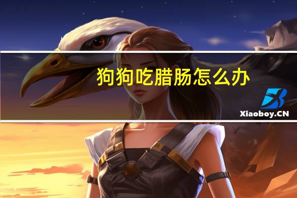 狗狗吃腊肠怎么办