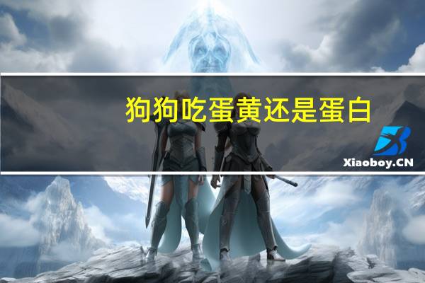 狗狗吃蛋黄还是蛋白