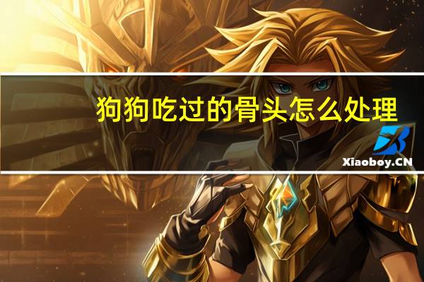 狗狗吃过的骨头怎么处理