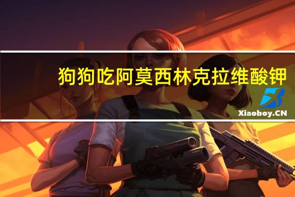 狗狗吃阿莫西林克拉维酸钾