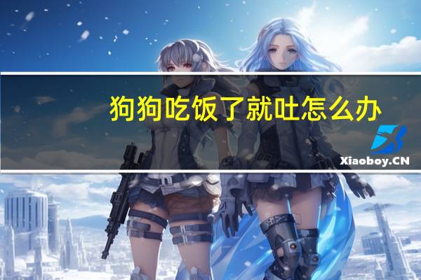 狗狗吃饭了就吐怎么办