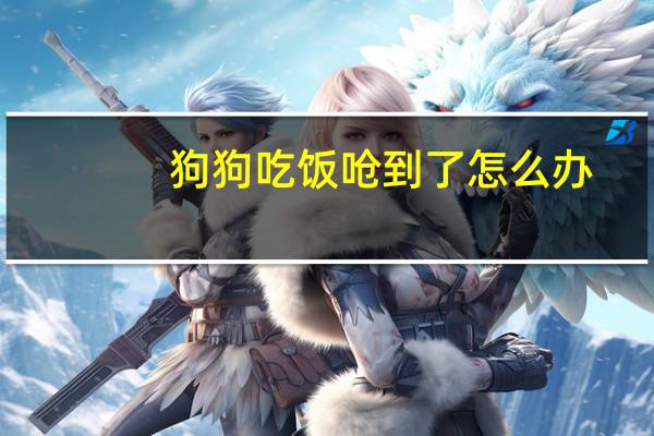 狗狗吃饭呛到了怎么办