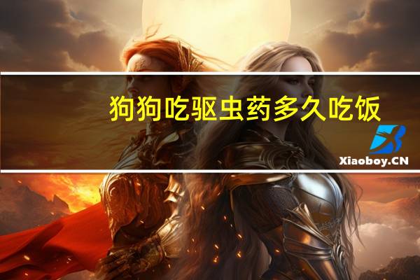 狗狗吃驱虫药多久吃饭