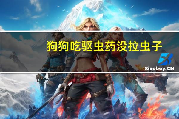 狗狗吃驱虫药没拉虫子