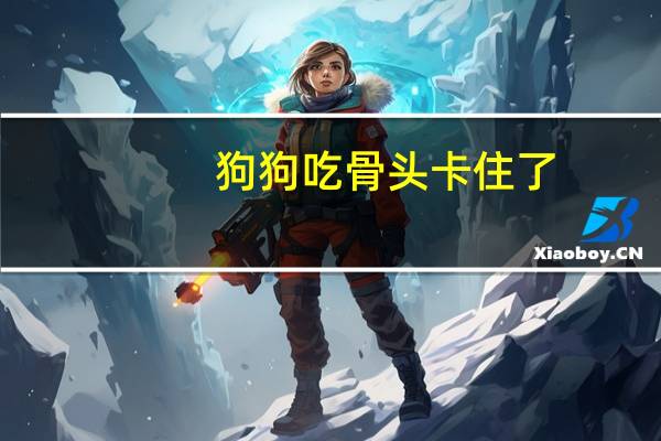 狗狗吃骨头卡住了