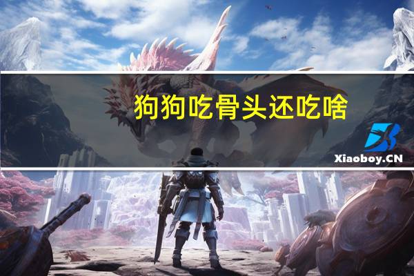 狗狗吃骨头还吃啥