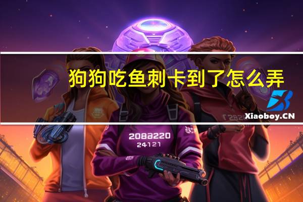 狗狗吃鱼刺卡到了怎么弄