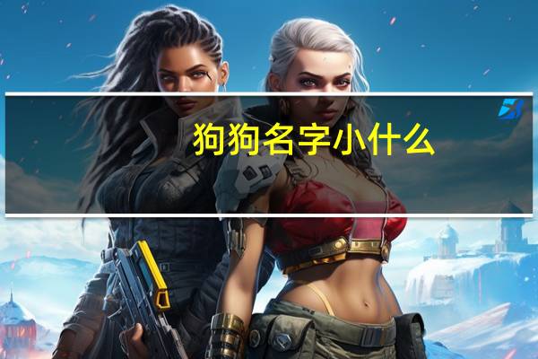 狗狗名字小什么