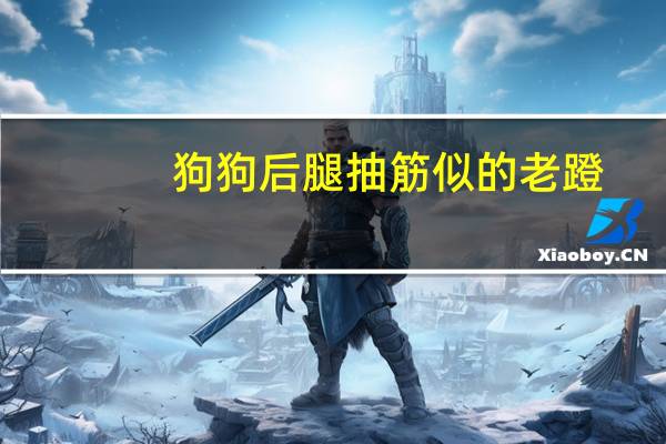 狗狗后腿抽筋似的老蹬