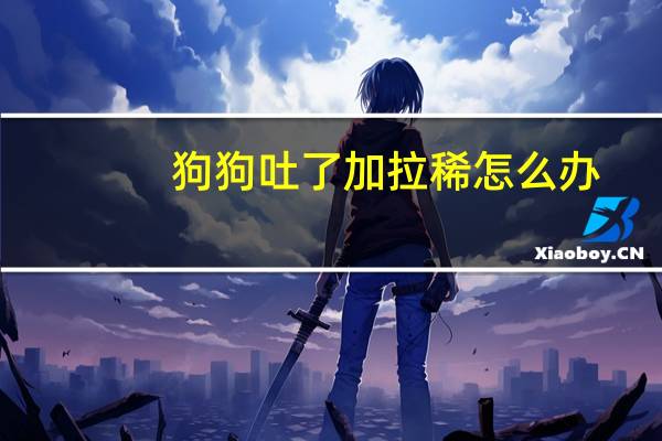 狗狗吐了加拉稀怎么办