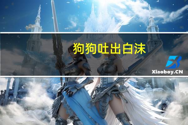 狗狗吐出白沫