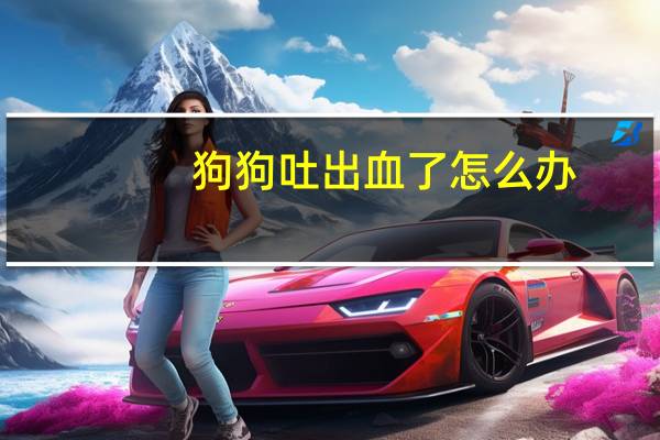狗狗吐出血了怎么办