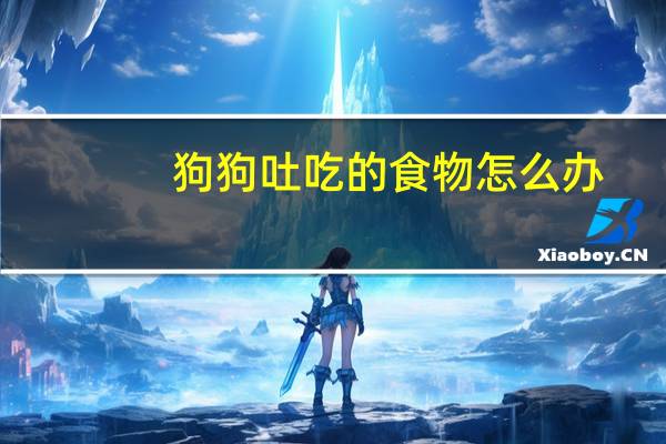 狗狗吐吃的食物怎么办