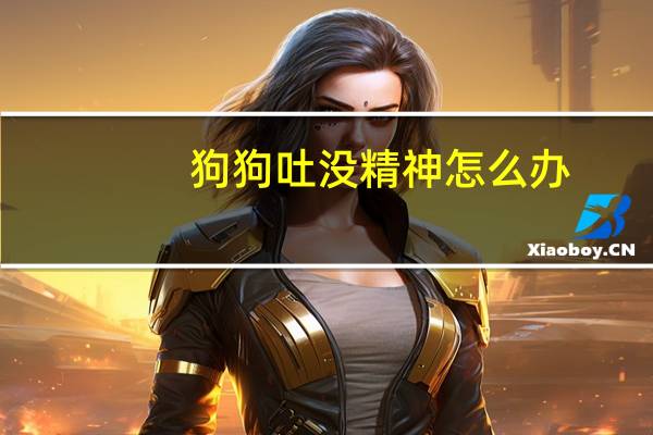 狗狗吐没精神怎么办