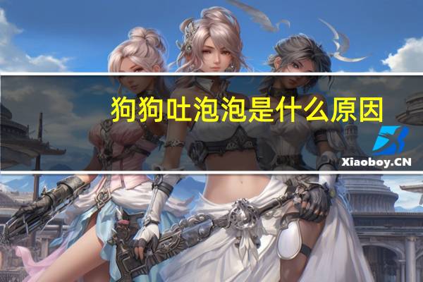 狗狗吐泡泡是什么原因