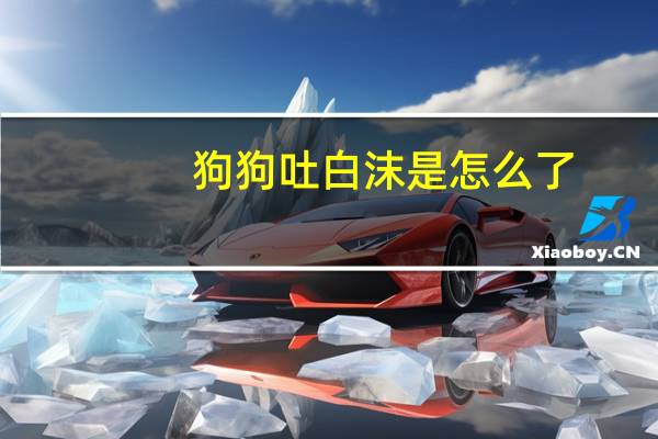 狗狗吐白沫是怎么了