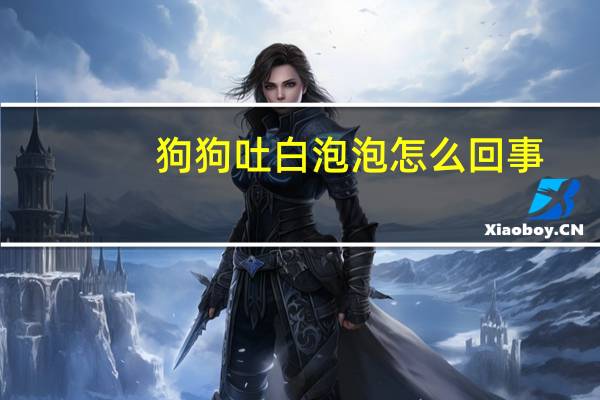 狗狗吐白泡泡怎么回事