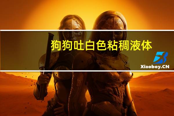 狗狗吐白色粘稠液体