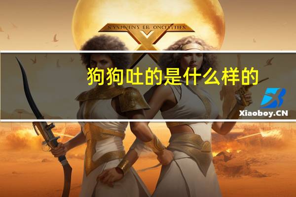 狗狗吐的是什么样的