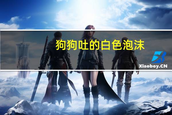狗狗吐的白色泡沫