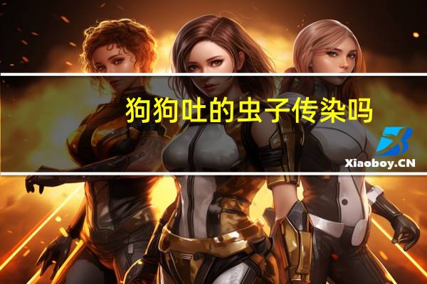 狗狗吐的虫子传染吗