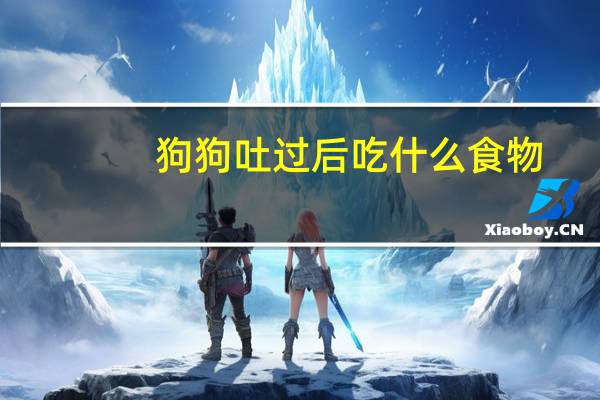 狗狗吐过后吃什么食物