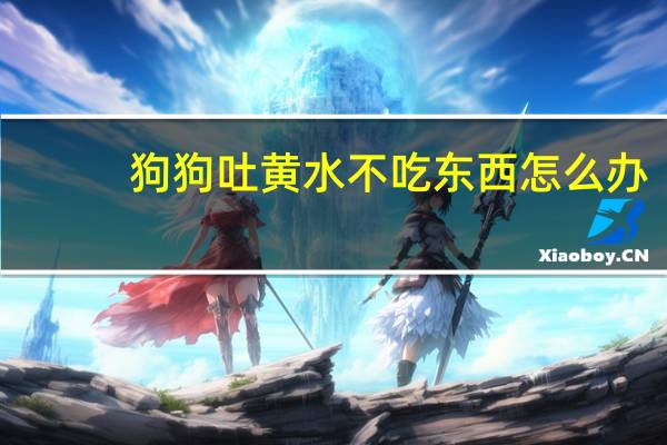 狗狗吐黄水不吃东西怎么办