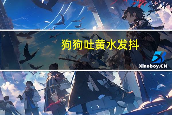狗狗吐黄水发抖