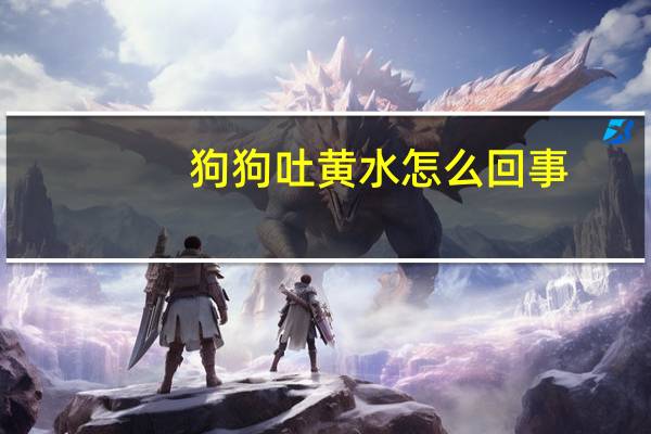 狗狗吐黄水怎么回事