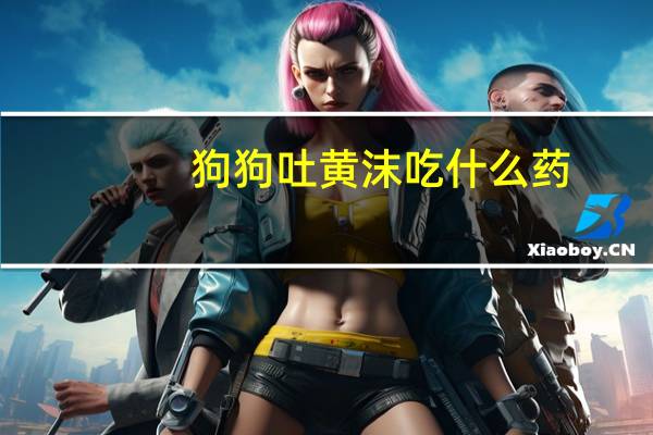 狗狗吐黄沫吃什么药