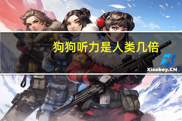 狗狗听力是人类几倍