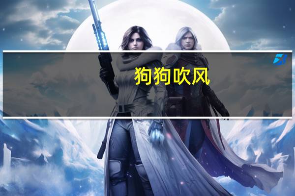 狗狗吹风