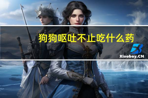 狗狗呕吐不止吃什么药