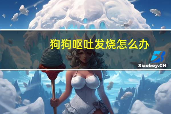 狗狗呕吐发烧怎么办