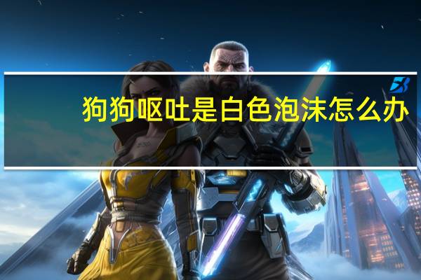 狗狗呕吐是白色泡沫怎么办