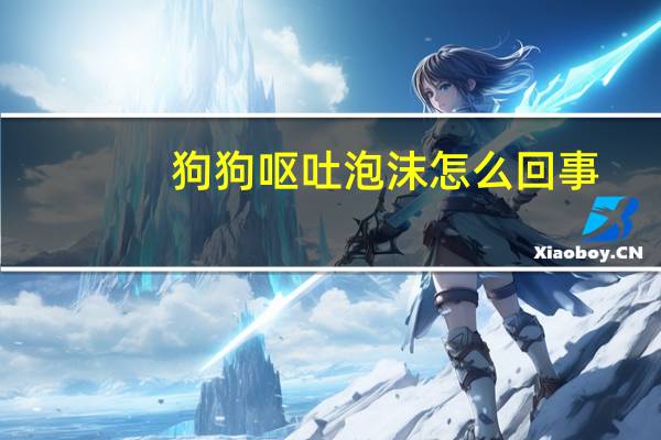 狗狗呕吐泡沫怎么回事