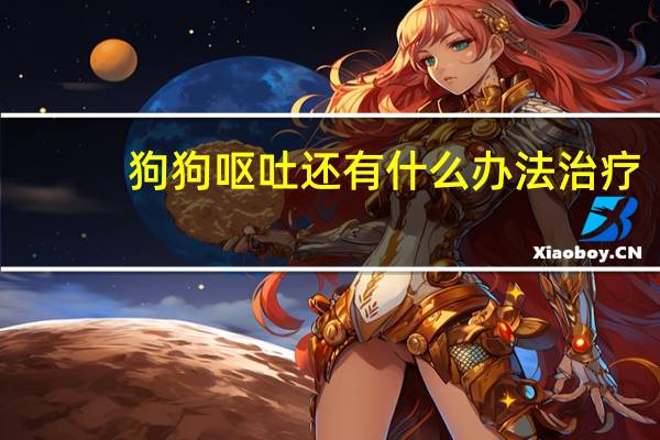 狗狗呕吐还有什么办法治疗
