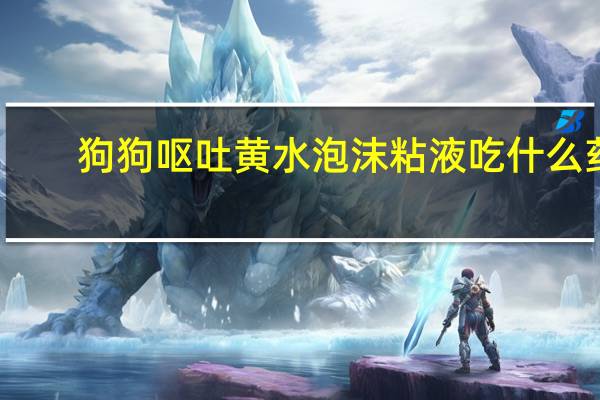 狗狗呕吐黄水泡沫粘液吃什么药