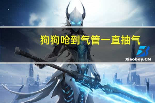 狗狗呛到气管一直抽气