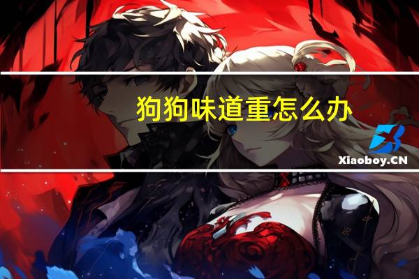狗狗味道重怎么办