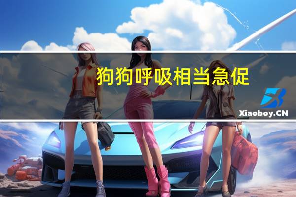 狗狗呼吸相当急促