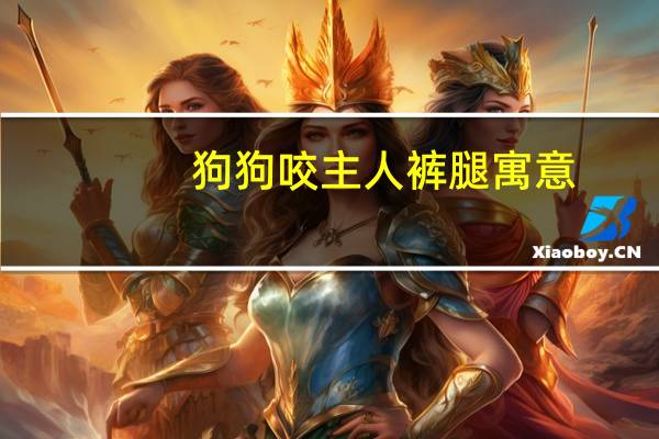 狗狗咬主人裤腿寓意