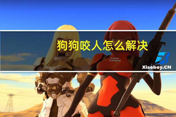 狗狗咬人怎么解决