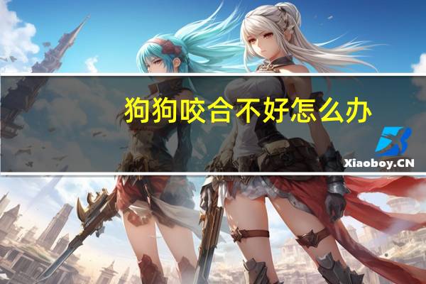 狗狗咬合不好怎么办