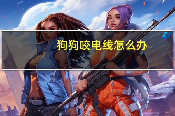 狗狗咬电线怎么办