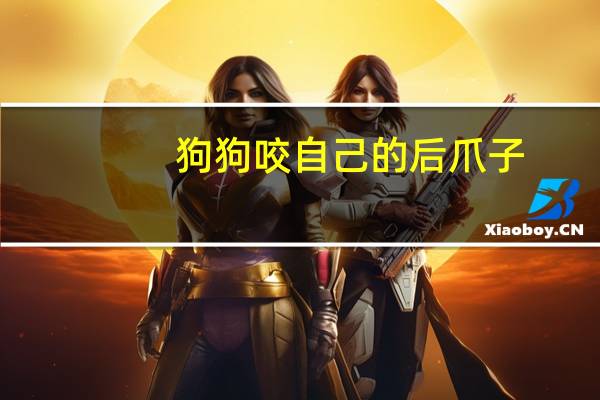 狗狗咬自己的后爪子