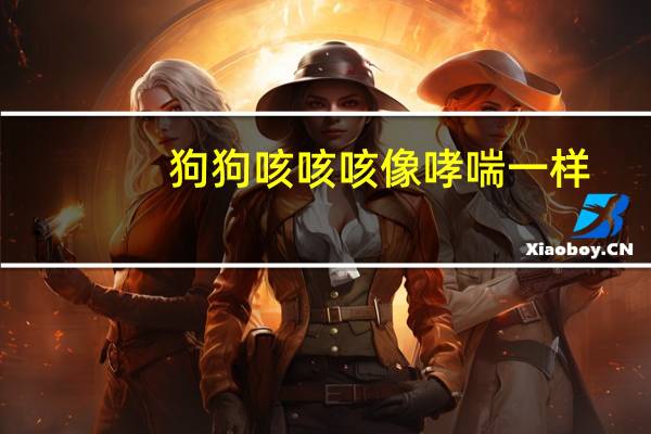 狗狗咳咳咳像哮喘一样