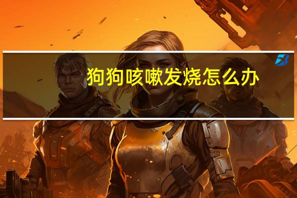 狗狗咳嗽发烧怎么办