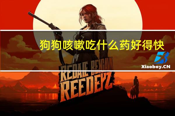 狗狗咳嗽吃什么药好得快
