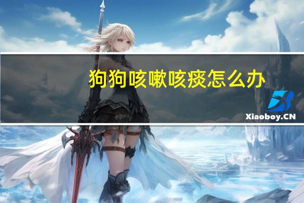 狗狗咳嗽咳痰怎么办